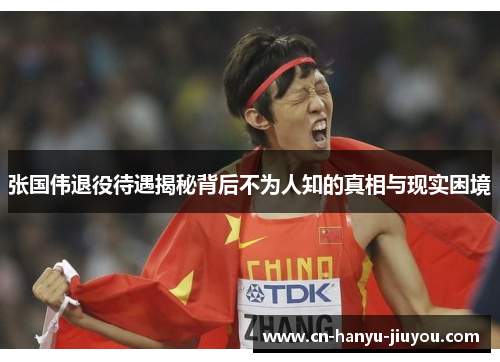 张国伟退役待遇揭秘背后不为人知的真相与现实困境
