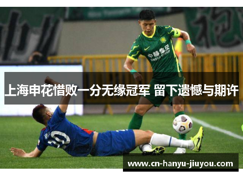 上海申花惜败一分无缘冠军 留下遗憾与期许